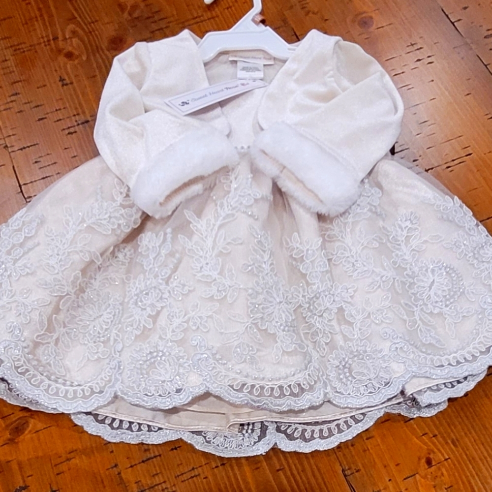 Baby Girls Formal Lace Gown N.W.T - 12 months